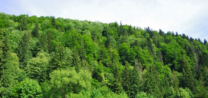 https://cdn1.pokupon.ua/uploaded/new_campaign_pictures/468316/data/main720x340/24.JPG?1522742131