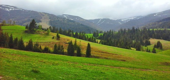 https://cdn1.pokupon.ua/uploaded/new_campaign_pictures/469876/data/main720x340/132222553.jpg?1520004300