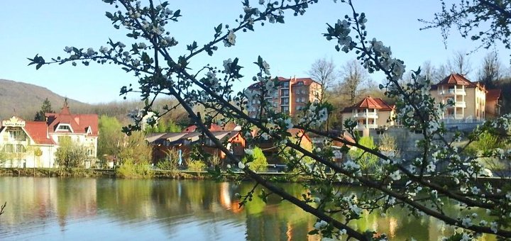 https://cdn1.pokupon.ua/uploaded/new_campaign_pictures/469881/data/main720x340/124924604.jpg?1520004305