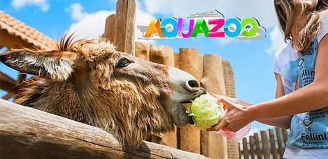 Билеты в зоопарк «AQUAZOO - Петрополь» -52%