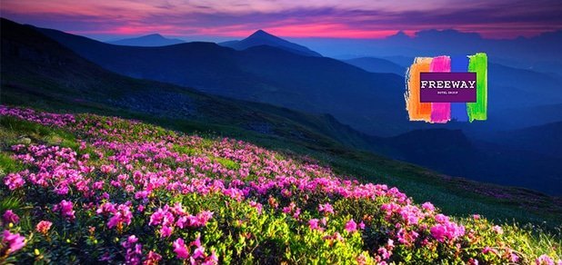 https://cdn1.pokupon.ua/uploaded/new_campaign_pictures/47186/data/main620x292/fre-5.jpg?1437559101