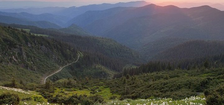 https://cdn1.pokupon.ua/uploaded/new_campaign_pictures/471879/data/main720x340/7.jpg?1521041081