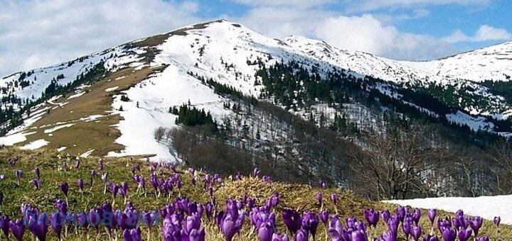 https://cdn1.pokupon.ua/uploaded/new_campaign_pictures/471880/data/main720x340/6.jpg?1521041083