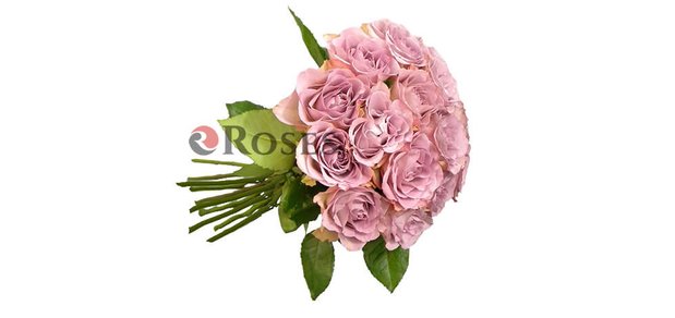 https://cdn1.pokupon.ua/uploaded/new_campaign_pictures/472983/data/main620x292/memory-lane-15-roz-3.jpg?1521557666