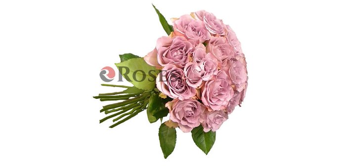 https://cdn1.pokupon.ua/uploaded/new_campaign_pictures/472983/data/main720x340/memory-lane-15-roz-3.jpg?1521557666