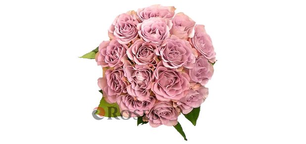 https://cdn1.pokupon.ua/uploaded/new_campaign_pictures/472984/data/main620x292/memory-lane-15-roz-2.jpg?1521557667