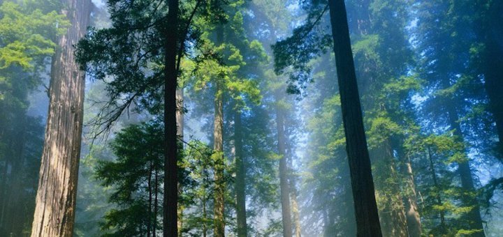 https://cdn1.pokupon.ua/uploaded/new_campaign_pictures/474521/data/main720x340/belov.jpg?1522239004