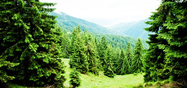 https://cdn1.pokupon.ua/uploaded/new_campaign_pictures/475150/data/main620x292/Museum___view_-_17.jpg?1522400186