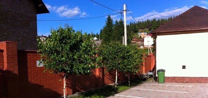 https://cdn1.pokupon.ua/uploaded/new_campaign_pictures/475760/data/main720x340/IMG-6854.JPG?1522677878