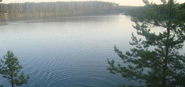 https://cdn1.pokupon.ua/uploaded/new_campaign_pictures/477286/data/main620x292/9-dom-pod-lesom-selo-oleshnya-repkinskij-r-n.jpg?1522917845