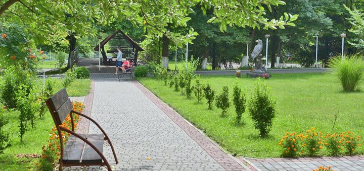 https://cdn1.pokupon.ua/uploaded/new_campaign_pictures/479071/data/main720x340/129702347.jpg?1523612442