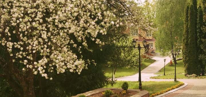 https://cdn1.pokupon.ua/uploaded/new_campaign_pictures/479083/data/main720x340/4.jpg?1523612666