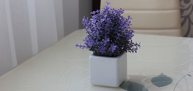 https://cdn1.pokupon.ua/uploaded/new_campaign_pictures/480956/data/main620x292/720x2.jpg?1524480181