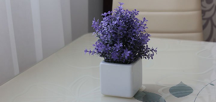 https://cdn1.pokupon.ua/uploaded/new_campaign_pictures/480956/data/main720x340/720x2.jpg?1524480181