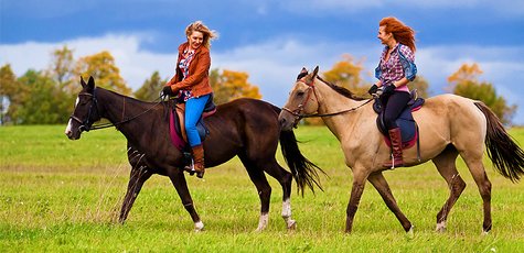 Скидка до 65% на прогулки на лошадях