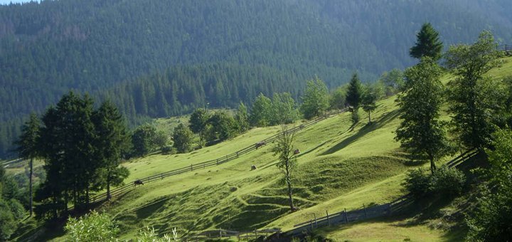 https://cdn1.pokupon.ua/uploaded/new_campaign_pictures/482613/data/main720x340/2.jpg?1525267482
