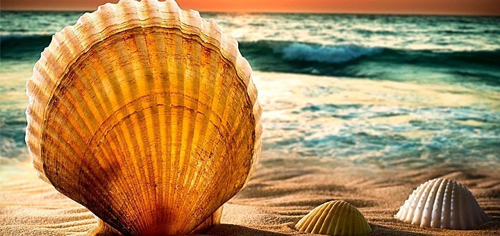 Бархатный сезон в Приморском! 3, 5, 8 или 11 дней на базе отдыха «Мега-Парус»!