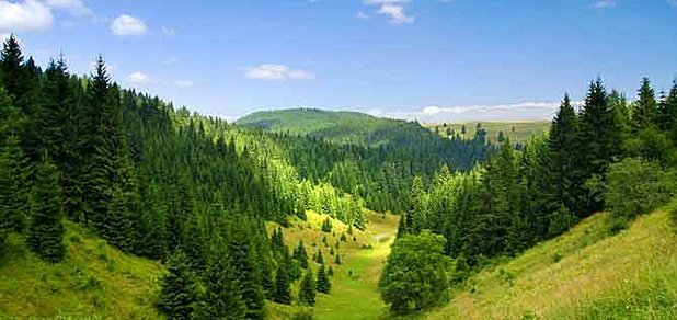 https://cdn1.pokupon.ua/uploaded/new_campaign_pictures/48355/data/main620x292/%D0%B1%D0%B8%D0%B31.jpg?1440489895