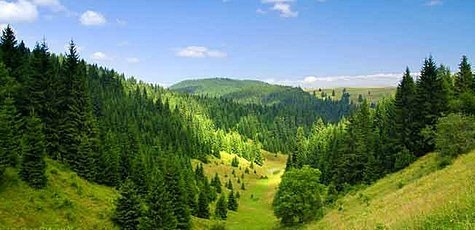 Отдых в комплексе «Эдельвейс» в Ясине -31%