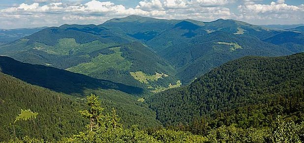 https://cdn1.pokupon.ua/uploaded/new_campaign_pictures/48356/data/main620x292/%D0%B1%D0%B8%D0%B32.jpg?1440489897