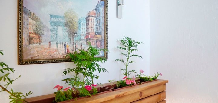 https://cdn1.pokupon.ua/uploaded/new_campaign_pictures/484555/data/main720x340/15005495682.jpg?1526020965