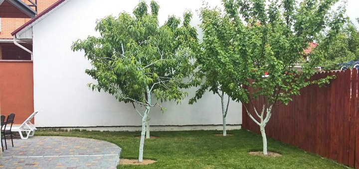 https://cdn1.pokupon.ua/uploaded/new_campaign_pictures/486585/data/main720x340/%D1%8Fv%D0%BFiber-image.jpg?1526896840