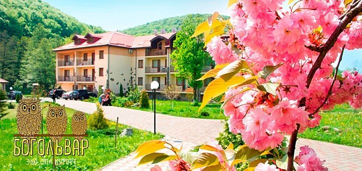 https://cdn1.pokupon.ua/uploaded/new_campaign_pictures/48803/data/main720x340/bi-1.jpg?1441615312