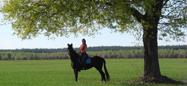 https://cdn1.pokupon.ua/uploaded/new_campaign_pictures/489032/data/main720x340/33566034_1417338701744718_8791044172187435008_n.jpg?1527840255