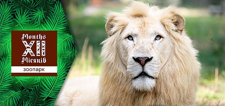 https://cdn1.pokupon.ua/uploaded/new_campaign_pictures/49062/data/main720x340/zoo-7.jpg?1441962481