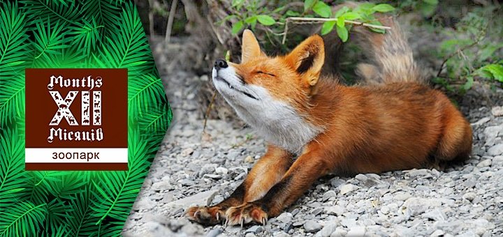 https://cdn1.pokupon.ua/uploaded/new_campaign_pictures/49063/data/main720x340/zoo-6.jpg?1441962483