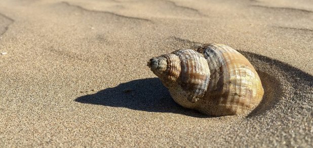 https://cdn1.pokupon.ua/uploaded/new_campaign_pictures/492038/data/main620x292/beach-3394873_1920-1280x720.jpg?1529401815