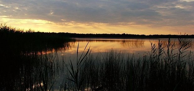 https://cdn1.pokupon.ua/uploaded/new_campaign_pictures/496229/data/main620x292/galdvir-2.jpg?1531465075