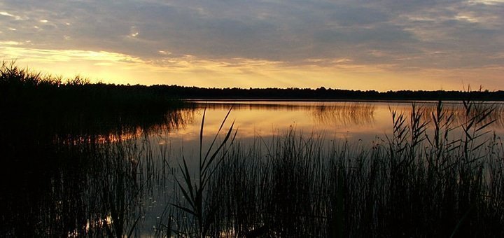 https://cdn1.pokupon.ua/uploaded/new_campaign_pictures/496229/data/main720x340/galdvir-2.jpg?1531465075