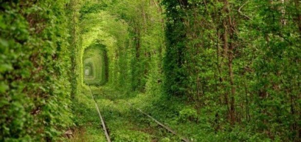 https://cdn1.pokupon.ua/uploaded/new_campaign_pictures/496230/data/main620x292/tunnel-of-love-1-e14048359148021-720x340.jpg?1531465075