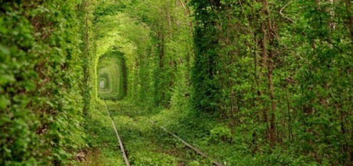 https://cdn1.pokupon.ua/uploaded/new_campaign_pictures/496230/data/main720x340/tunnel-of-love-1-e14048359148021-720x340.jpg?1531465075