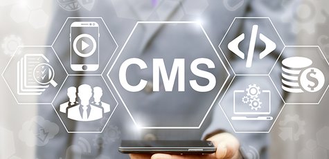 Курс по созданию собственной темы CMS Wordpress