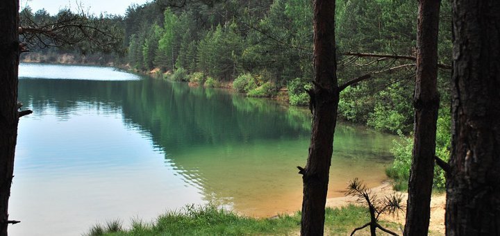 https://cdn1.pokupon.ua/uploaded/new_campaign_pictures/496969/data/main720x340/z_6283e42e.jpg?1531813541