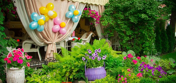 https://cdn1.pokupon.ua/uploaded/new_campaign_pictures/497325/data/main720x340/973df4_a7fd8bdc132f4f59b60abc104e28fd77.jpg?1531906395