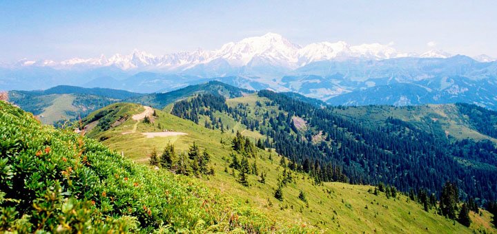 https://cdn1.pokupon.ua/uploaded/new_campaign_pictures/500300/data/main720x340/6.jpg?1533019801