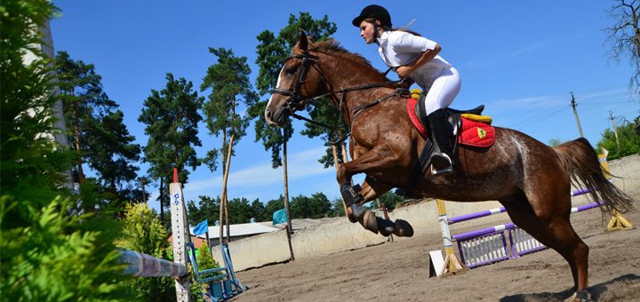https://cdn1.pokupon.ua/uploaded/new_campaign_pictures/500494/data/main720x340/2.jpg?1533045805