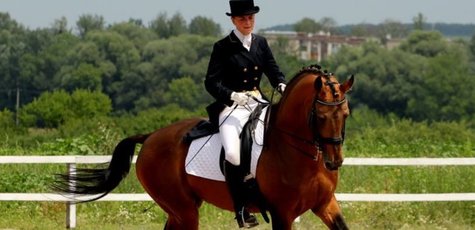 До 2 часов конных прогулок от клуба «Horse Yard»