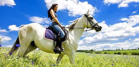 До 3 уроков верховой езды от «Horse Yard»