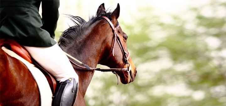 https://cdn1.pokupon.ua/uploaded/new_campaign_pictures/502004/data/main720x340/1.jpg?1533745589