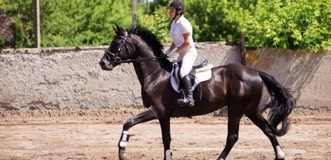 Спортивная тренировка на лошади от клуба «Пассаж»