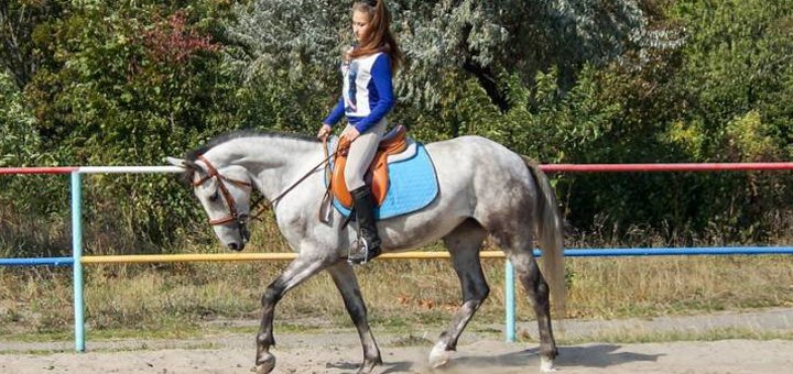https://cdn1.pokupon.ua/uploaded/new_campaign_pictures/502437/data/main720x340/1.jpg?1533905550