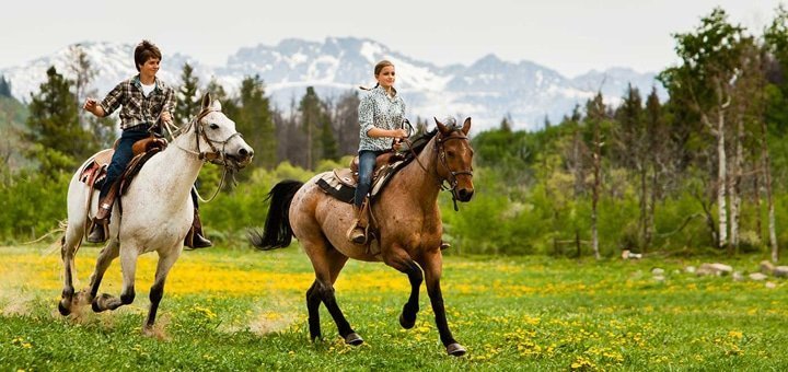 https://cdn1.pokupon.ua/uploaded/new_campaign_pictures/504315/data/main720x340/1.jpg?1534431223