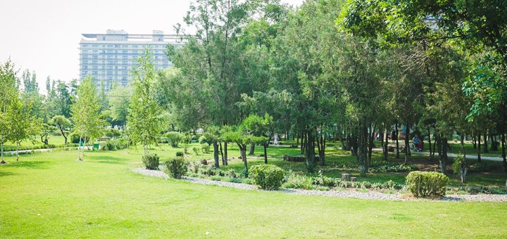 https://cdn1.pokupon.ua/uploaded/new_campaign_pictures/505620/data/main720x340/108144665.jpg?1535006035