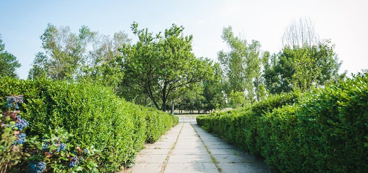 https://cdn1.pokupon.ua/uploaded/new_campaign_pictures/505625/data/main720x340/108144686.jpg?1535006037