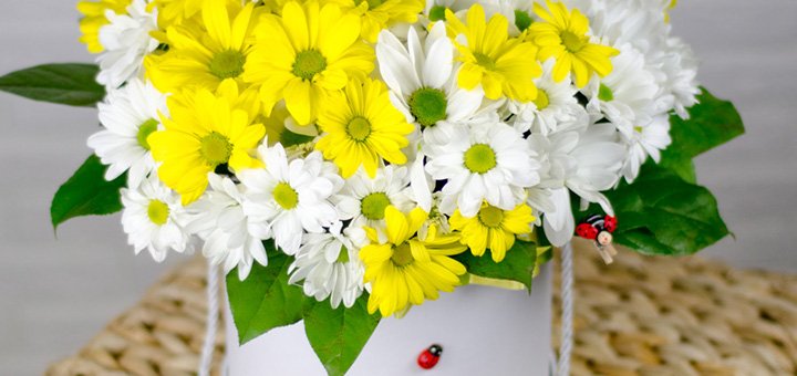 https://cdn1.pokupon.ua/uploaded/new_campaign_pictures/505788/data/main720x340/DSC_3534.jpg?1535018222