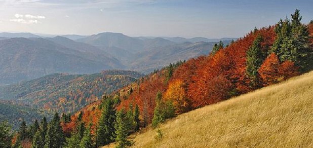 https://cdn1.pokupon.ua/uploaded/new_campaign_pictures/508972/data/main620x292/3.JPG?1536159477